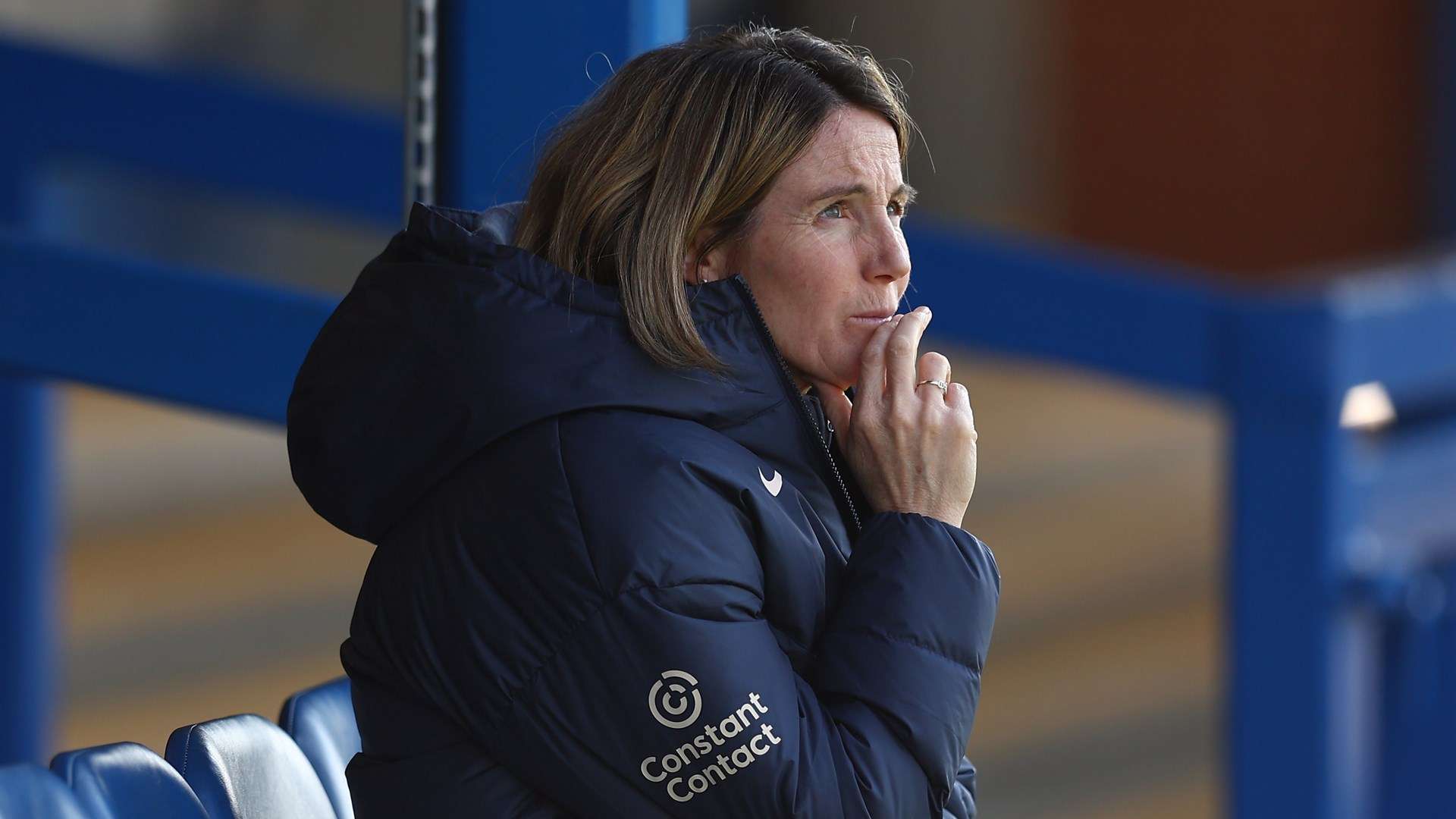 球迷与市场 球迷与市场